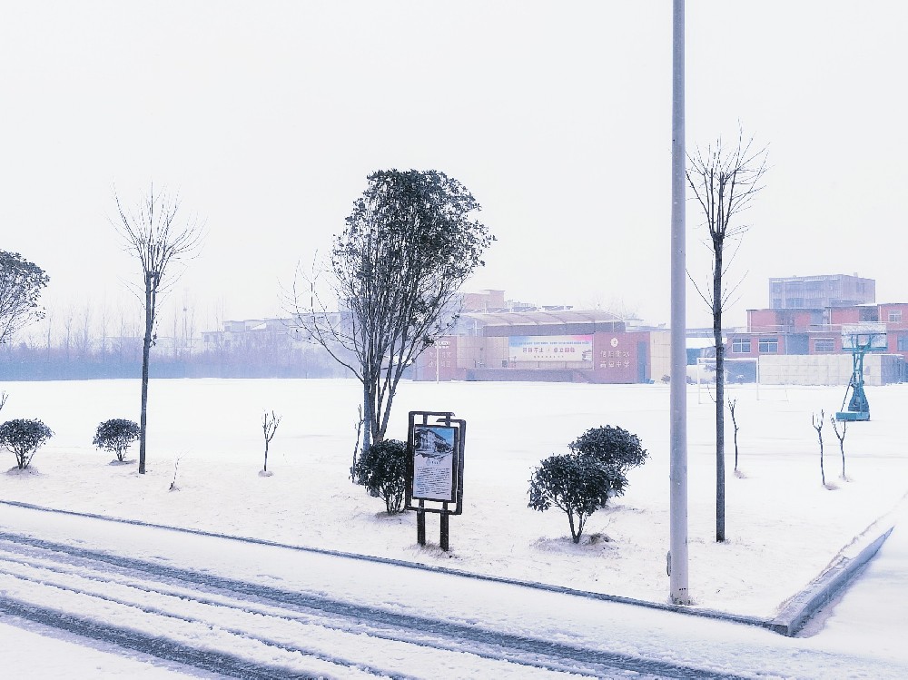 雪后的信衡，滿(mǎn)是期許